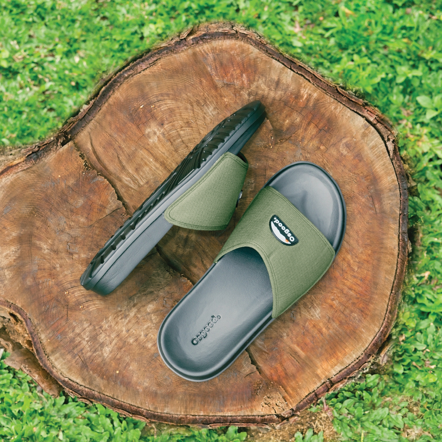 Sven Olive 1