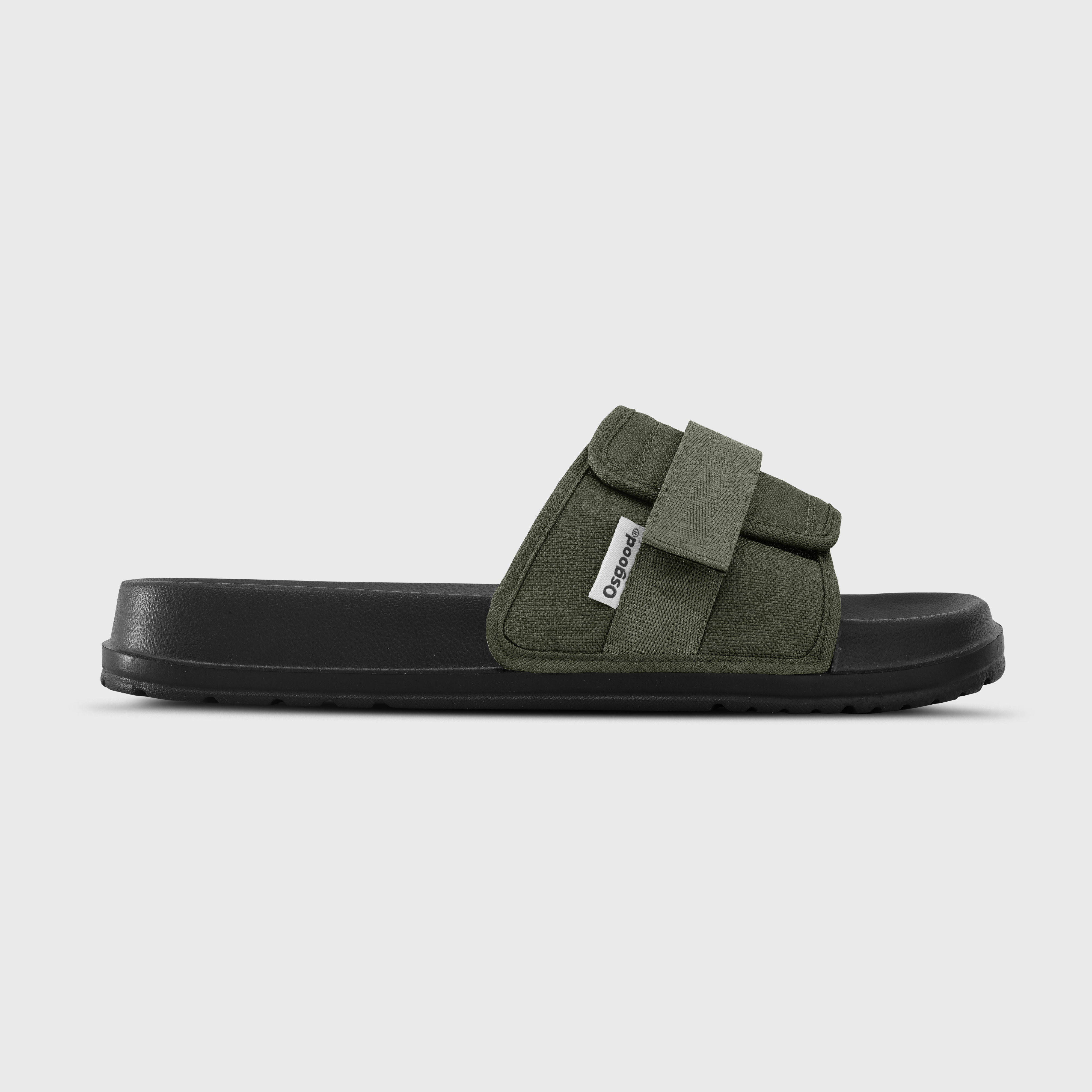 olive1