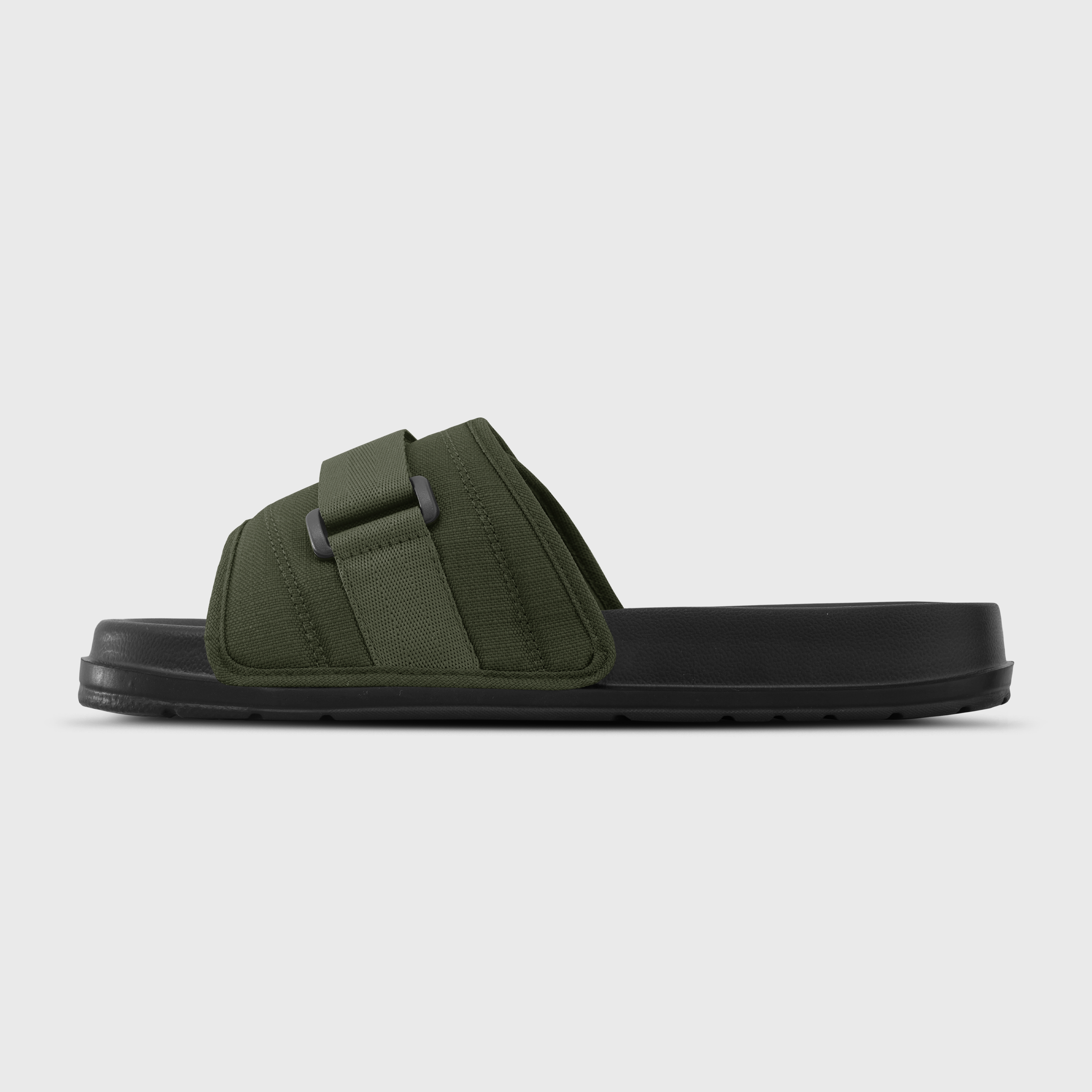 olive2