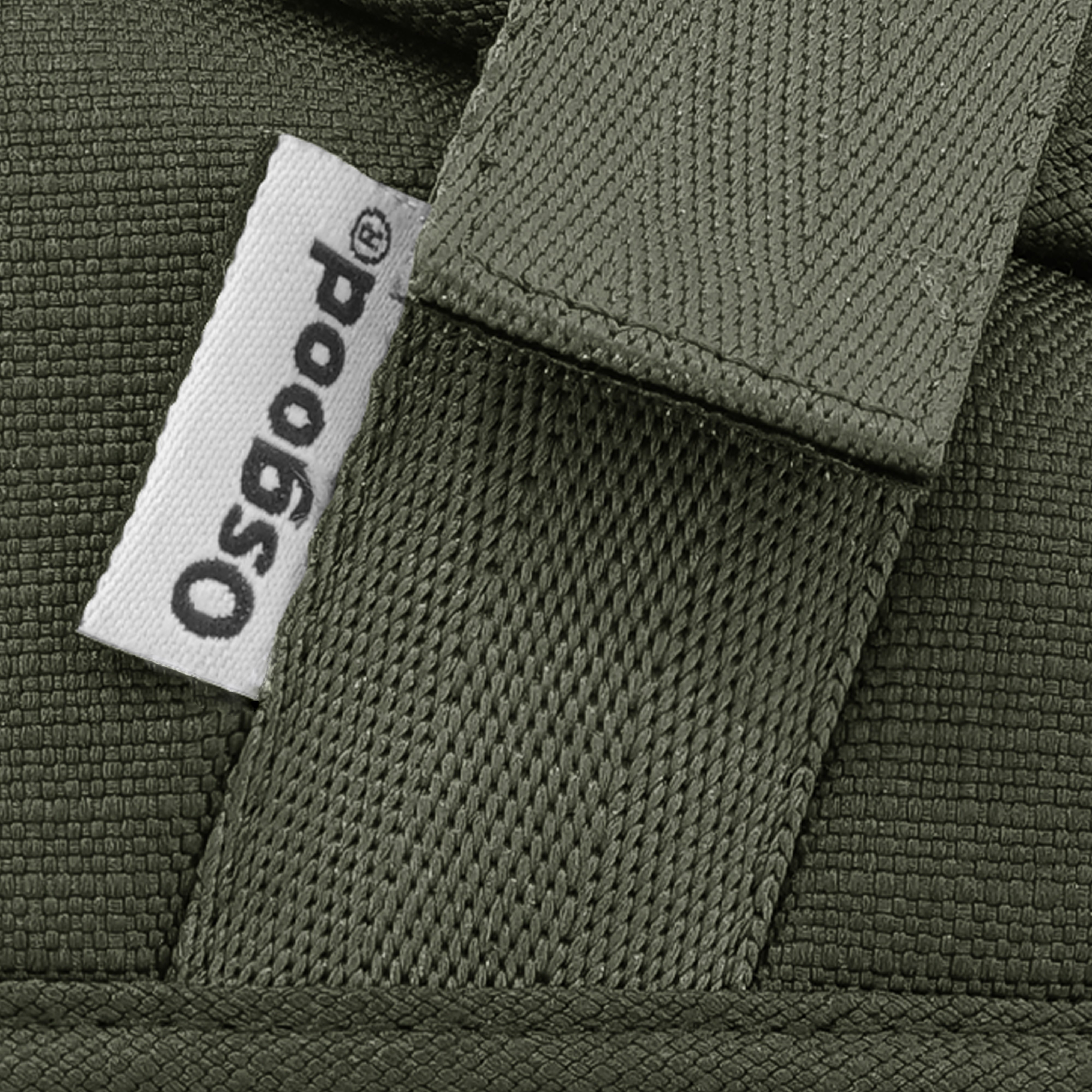 olive8